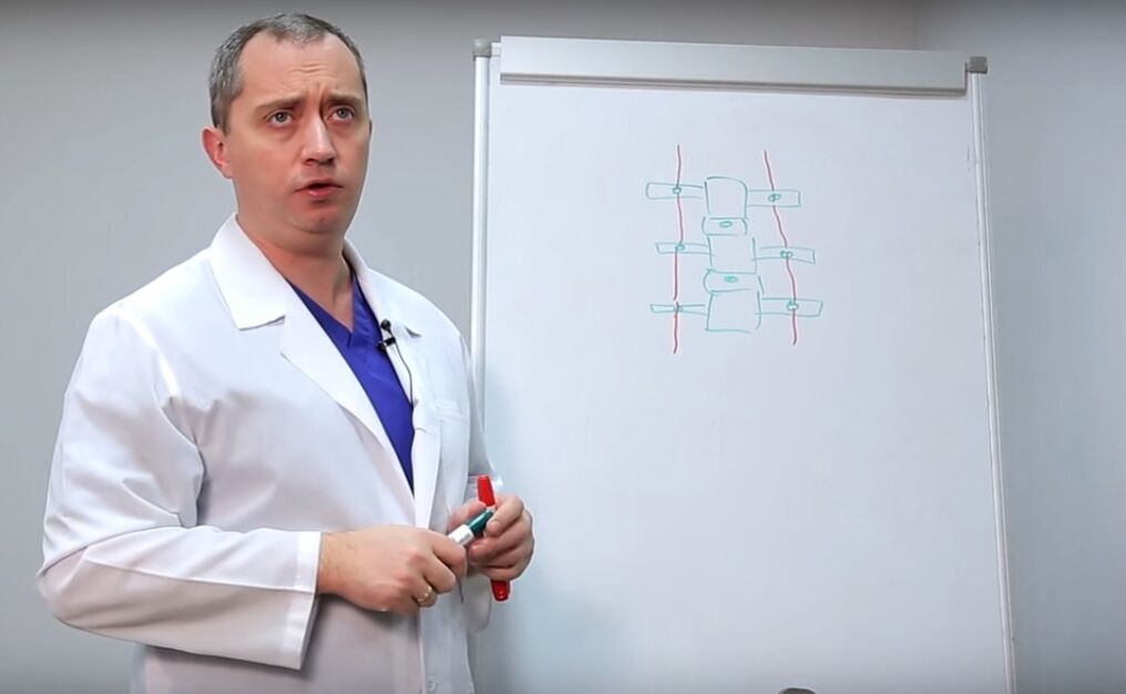 Zdravnik pokaže strukturo hrbtenice